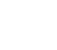 Globe Icon